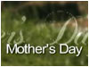 Mom Quotes
