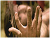 Easter Story, The 