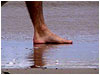 Footprints in the Sand