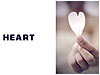 What is Love