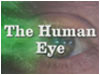 Does God Exist? The Human Eye