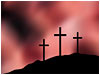 Crimson Crosses 
