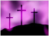 Purple Crosses 