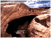 Empty Tomb Loop