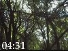 Nature Countdown