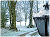 Sermon Illustration Video Preview for: Background: Lamppost Wide Screen