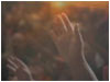 Hands in Worship Background Loop